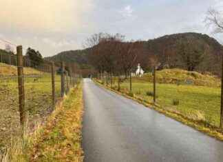 Yksityistäminen kunnallisilla teillä: säästöjä ja tehokkuutta news-10082024-233758