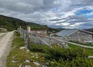 Kaksi lasta löytyi etsinnän jälkeen Vågåsta news-10082024-234013