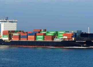 Kiina myöntää rahtilaivan vahingoittaneen Balticconnector-putkea news-13082024-043616