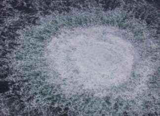 Ukrainailla oli selvä motiivi Nord Streamin sabotaasiin, tutkija sanoo news-15082024-074925