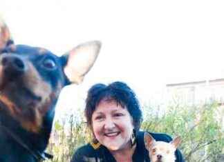 Mille: Anne B. Ragde kiittää koiransa pelastamisesta – kirjan kansikuva kukkii news-16082024-143829