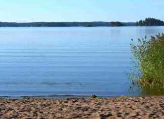 Meteorologit ennustavat lisää kesäistä säätä news-19082024-010507