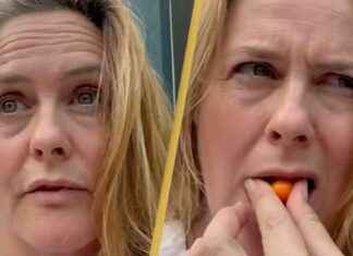 Stjerna: Kuka pelkää – Elätkö? news-21082024-014212