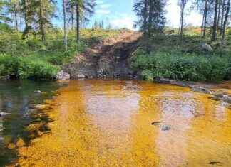 Perjantain sanomalehdet: Simpukkamassacre, Tampereen ratikkaleikkaukset ja Turun uudistettu vesipuisto news-23082024-105750