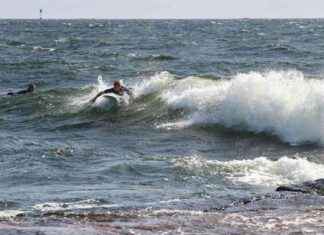 Surffarit kerääntyvät Porvoon aalloille news-25082024-110733