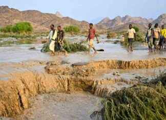 Sudan | YK: 50 000 ihmisen kodit tuhoutuneet tulvissa news-26082024-231807