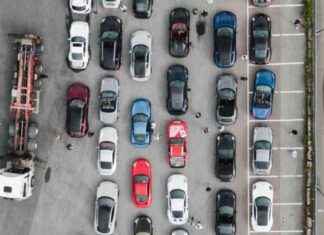 Aikuiset miehet juoksivat ulos boksereissa! news-28082024-113134