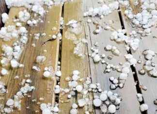 Kraftinen ukkosmyrsky Trøndelagissa: Kukaan ei ole kokenut vastaavaa news-28082024-113337