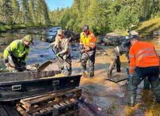 Stora Enso raportoi toisesta epäillystä ympäristörikkomuksesta news-28082024-233615