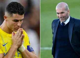 Futissiirrot: Voiko jälleenyhdistyä news-29082024-113917