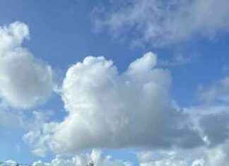 Vinkkejä bygdevegoiden yksityistämiseen – Asiantuntijaopas news-29082024-114205