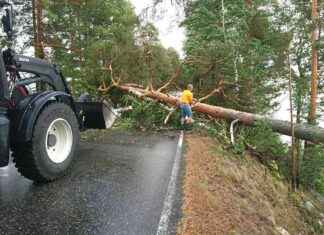 Elokuu päättyy leijonan lailla: Myrskyt kaatavat puita itäisessä Suomessa news-31082024-235146