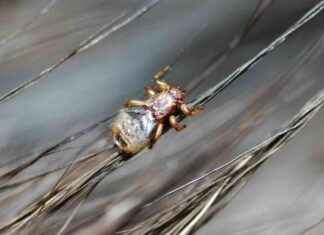 Varo tätä: se voi kutista vuoden ajan news-31082024-235244