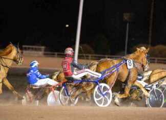 Hevostuen budjetti leikataan yli viidenneksen – tuki yli 500€/hevonen news-04092024-000836