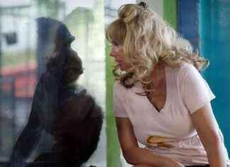 Naiset ja simpanssit: Televisioarvio kohusarjasta Suomen televisiossa news-10092024-064504