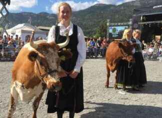 NRK lähettää suoraa lähetystä Dyrsku’n-tapahtumasta news-13092024-192720