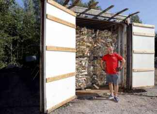 Vinkit oikeaoppiseen polttopuun säilytykseen – vältä nämä yleiset virheet news-14092024-113717