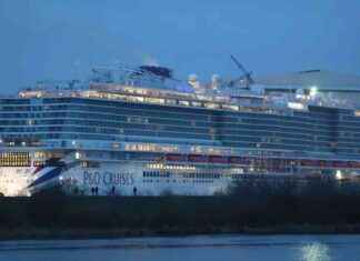 Saksan hallitus pelastaa Meyerin salaisista papereista: Tässä syyt. news-14092024-230315