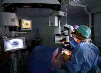 Silmäaseman omistaja harkitsee edelleen listautumista – Tuoreimmat päivitykset news-15092024-071023