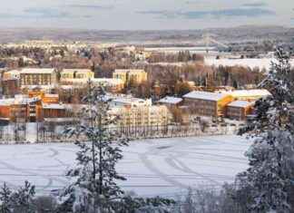 Airbnb-rumban lopettaminen: Päivi Salminen keksi nokkelan keinon news-15092024-111356