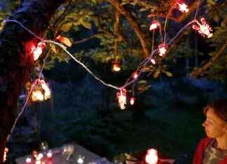 Tokmanni-johtaja paljastaa suosikkituotteensa edullisessa kaupassa news-15092024-232200