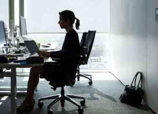 Enemmistö EK:n jäsenyrityksistä vastustaa hallituksen kolmen kuukauden työlupien katkaisua news-17092024-115340