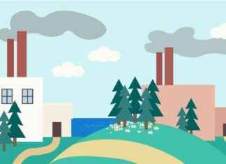 EUn vesidirektiivi kieltää puunjalostuksen Hønefossissa – miljodirektoratet.no news-17092024-115443