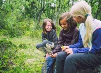 Friluftslivin vuosi 2022: Tule mukaan! news-20092024-184813