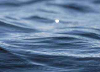 Suomi ei kommentoi vahingoittunutta Venäjään liittyvää rahtilaivaa news-21092024-153840