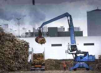 Metsäyhtiöiden huono uutinen: Sellun hinnan lasku news-21092024-154121