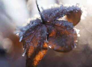 Lapin lievä lumisade nähdään lämpötilojen viilentyessä news-21092024-204737