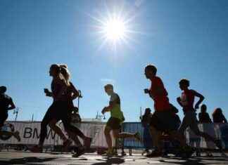 Salaiset agentit kiirehtivät parantamaan muiden julkisivuja news-21092024-204841