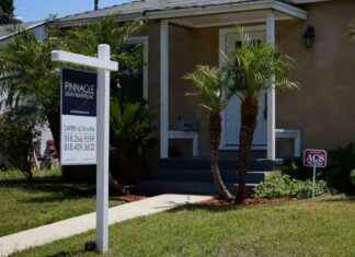 Amerikkalaiset painottavat taloutta tärkeimpänä tekijänä – Miksi talous on niin tärkeä? news-22092024-005911