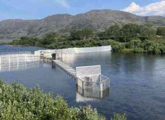 Näin Norja käyttää tekoälyä: Vinkkejä ja käytännön esimerkkejä news-22092024-090511