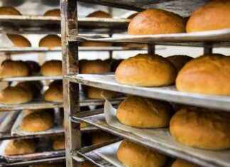 Yötyön palkka korotus: Hallituksen toimet ja vaikutukset news-22092024-130815