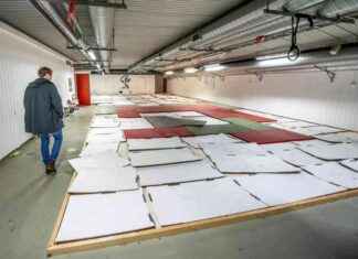 Kuntasi turvapaikat eivät ole riittävän hyviä – Paranna turvallisuutta nyt! news-22092024-130912