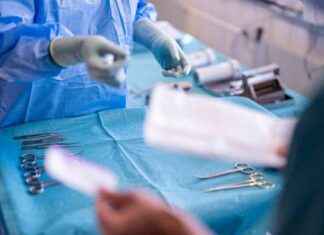 Korvaa miljoonia maksuista kommunikaatiovirheiden johdosta news-22092024-211624