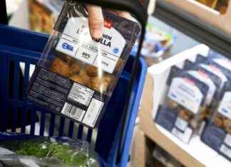 Ruoka halpenee hieman: Suhdanteen ennuste 2022 news-24092024-115348