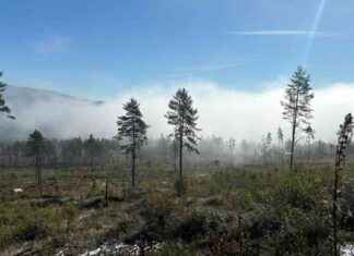 Priorisointikiista Lifjellillä: Valikoiva ympäristönsuojelu ja erittäin ristiriitainen news-24092024-115556