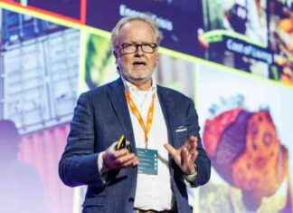 Ikean huippumalli kokeili Temua – varoittaa kieltäytymisestä news-24092024-200253