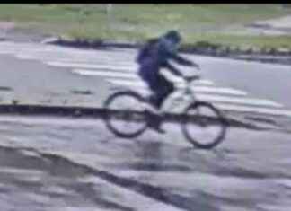 Etsintäkuulutus: Poliisi etsii tätä henkilöä news-26092024-132426