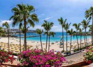 Kiire on nyt news-26092024-174605