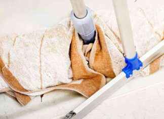 Poliisi paljastaa suuren mittakaavan ulkomaalaistyöntekijöihin kohdistuvan työvoimatoimistohuijauksen news-27092024-165351