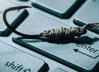 Traficomin kalasteluhuijarit varastavat 500 000€ uhreilta viime kuussa news-04102024-212301