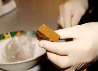 Salakuljetus ja vaarallinen ajokäyttäytyminen E10-tiellä news-07102024-094706