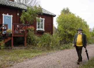 Hyvinvointi | Tom Sjöblom: Näin voit kapinoida kiirettä vastaan news-12102024-131723