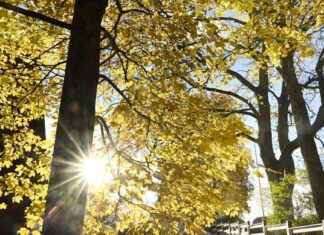 Syksyn lomataivas odottaa Suomea news-15102024-020814