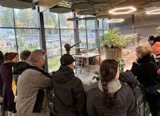 Ähtärin eläintarha houkuttelee vierailijoita panda nähdä viimeisen kerran news-20102024-151138