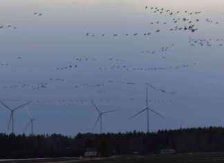 Tuulivoiman tuotanto työntää spot-hinnat negatiivisiksi maanantaina news-20102024-211302