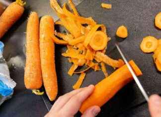 Maanantain lehdet: Kalliit ruokaostokset, ruokaa ilmasta ja vaihtelevat sähköhinnat news-21102024-091656